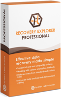 Recovery Explorer Professional (for Mac OS) - Personal License